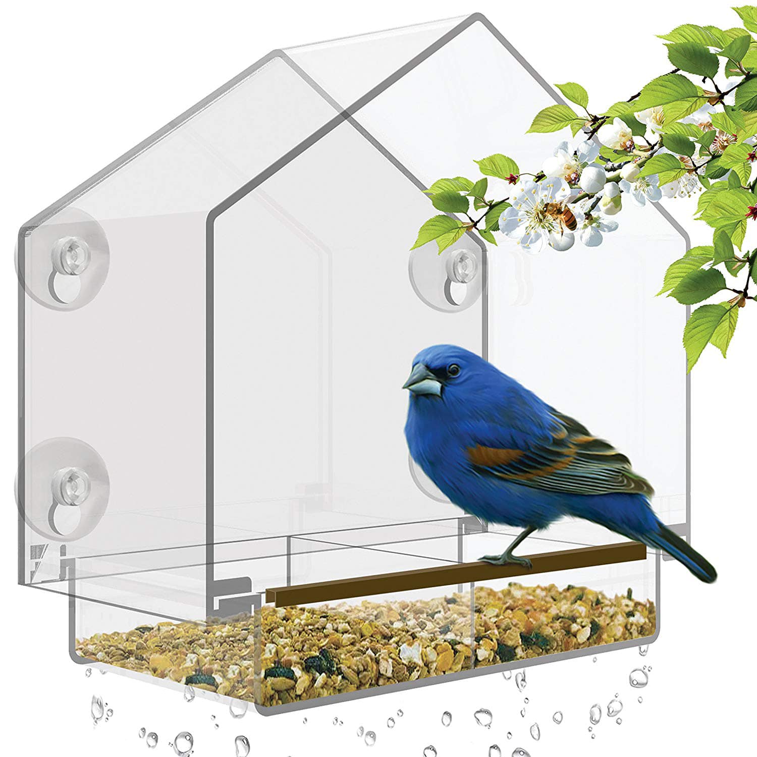 best window bird feeder 2020