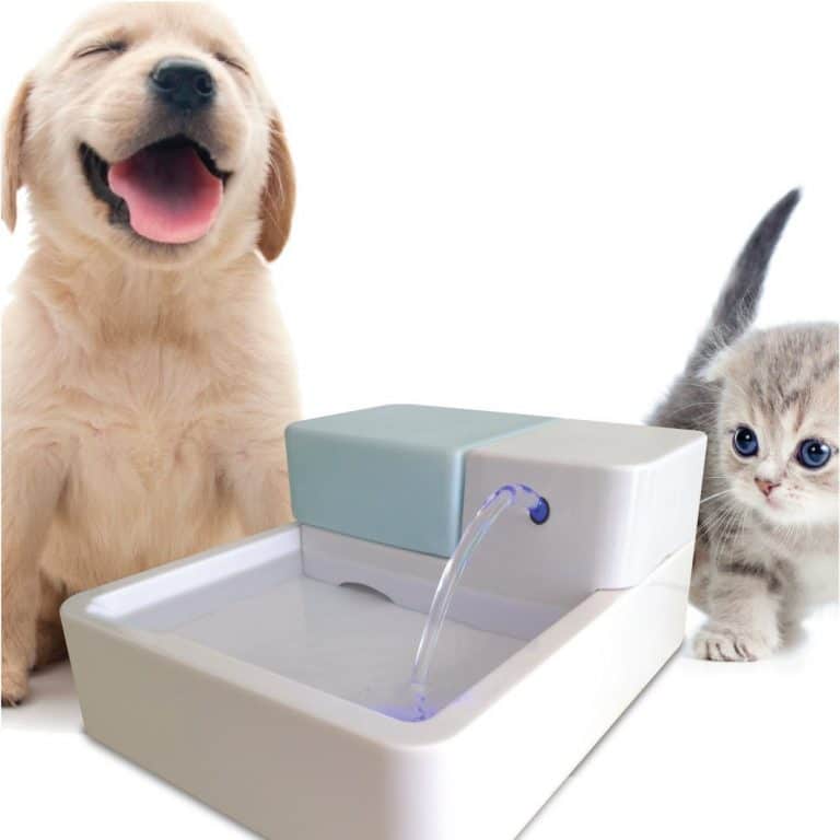 Top 10 Best Pet Water Fountains in 2021 Reviews Buyer’s Guide